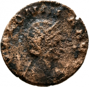 Salonina
